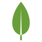 MongoDB